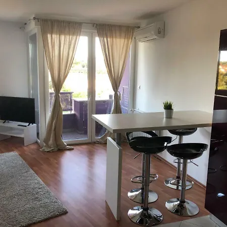 The Magic Experience Accomodation *