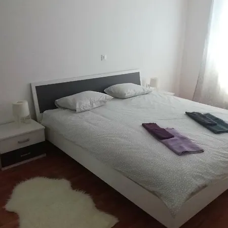 The Magic Experience Accomodation